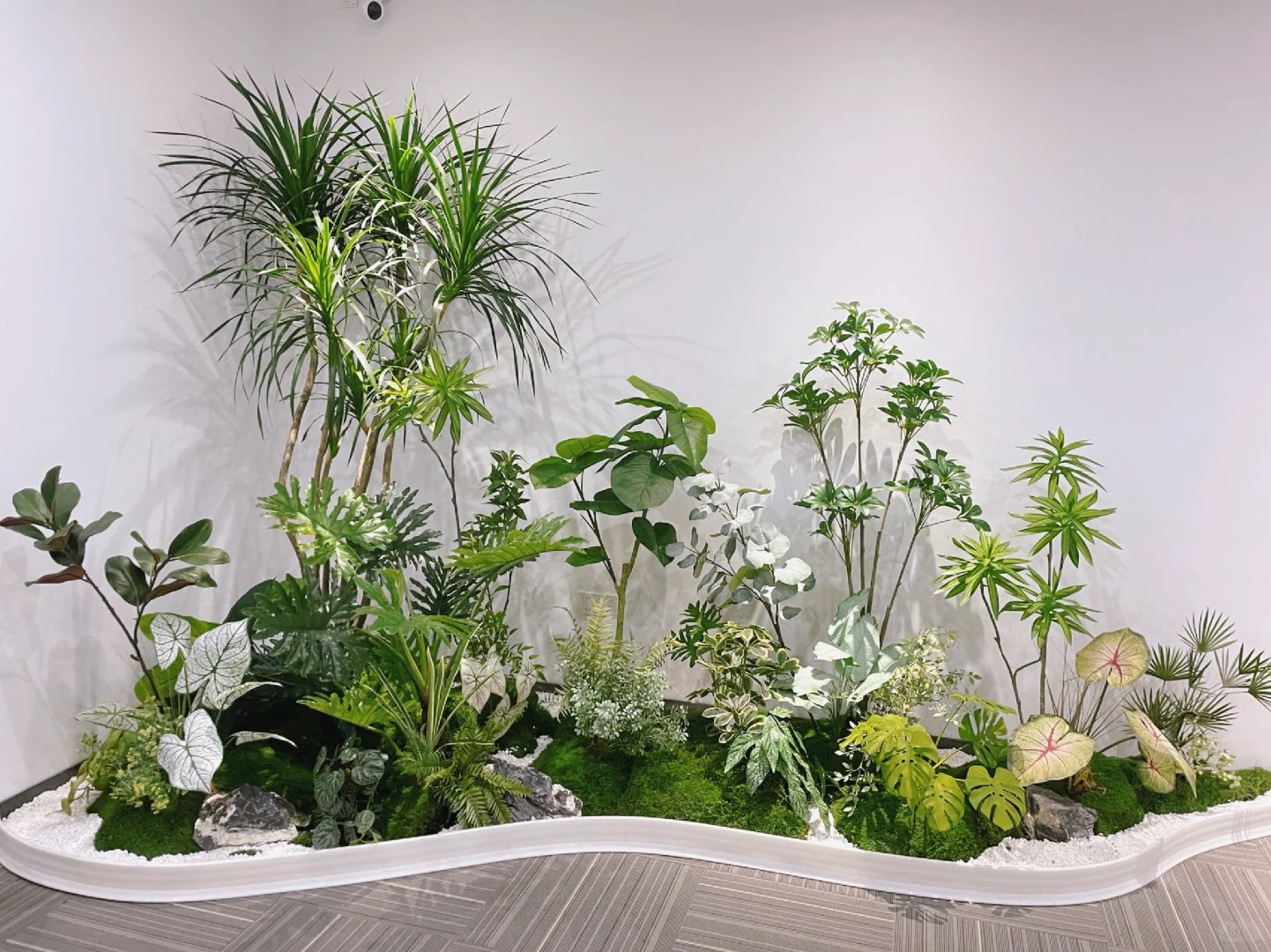 专业绿植租摆服务，宁波镇海的绿色贴心之选